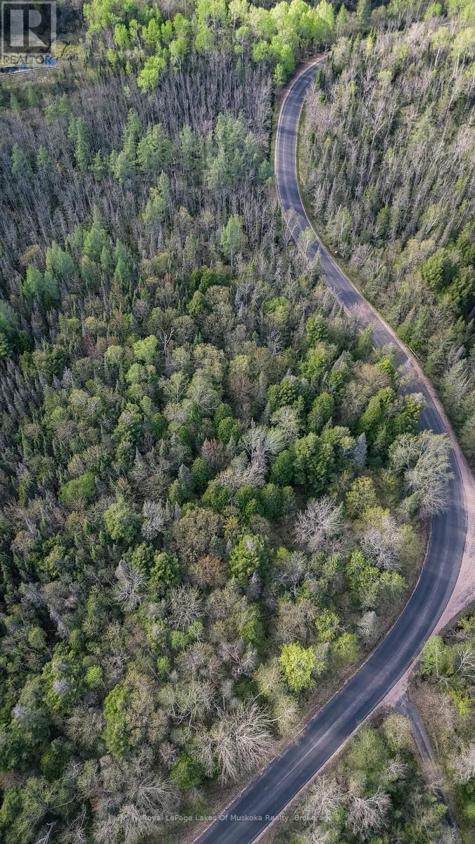 












0 HIGH ROCK DRIVE

,
Strong,







Ontario
P0A1Z0


