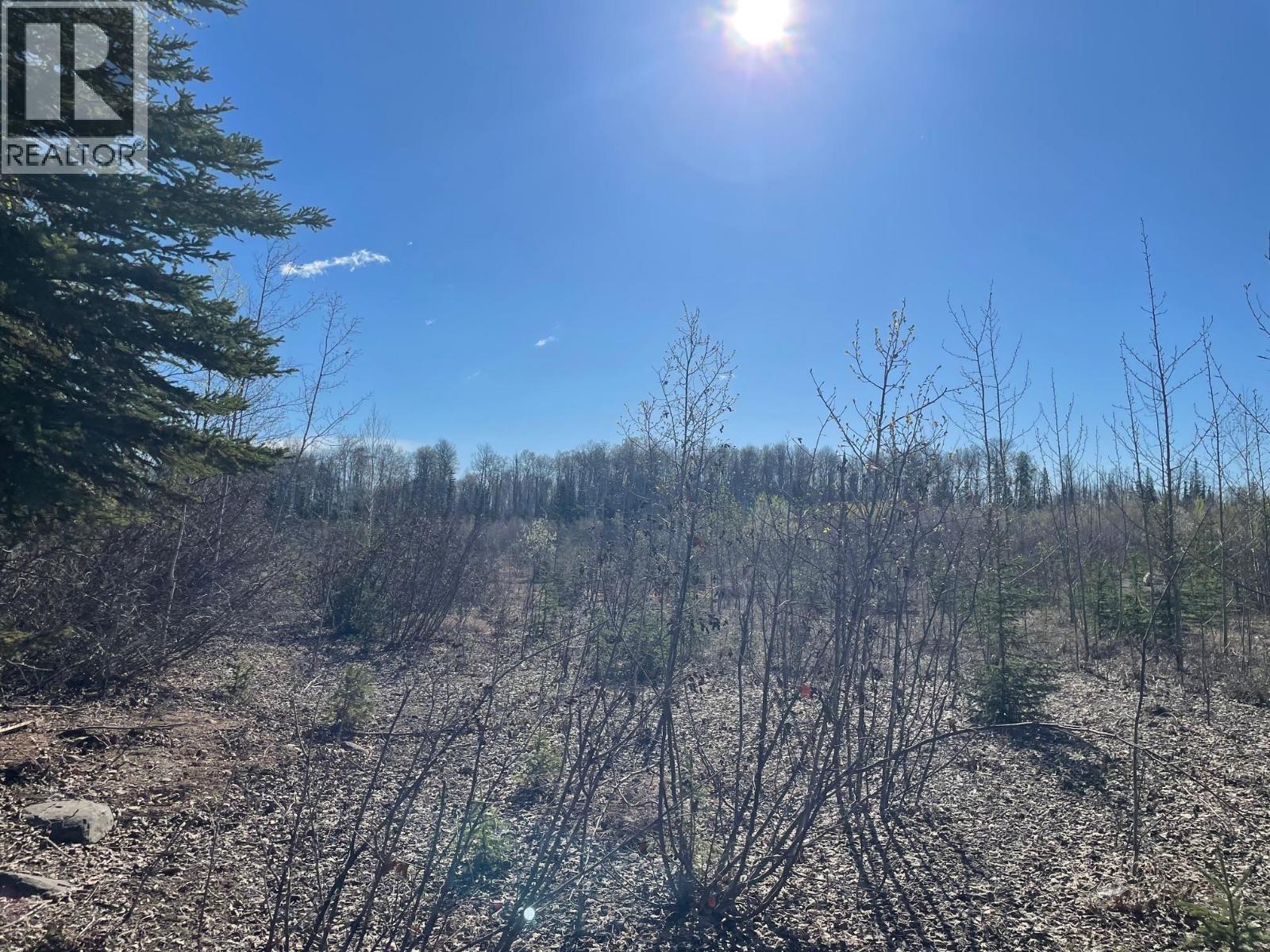 












170 MCCONACHIE CREEK ROAD

,
Fort Nelson,







British Columbia
V0C1R0

