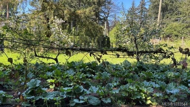 









5835


Island

Hwy North,
Courtenay,




BC
V9J 1T3

