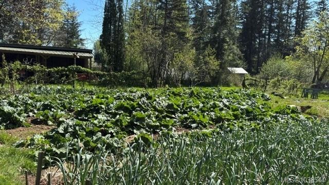 









5835


Island

Hwy North,
Courtenay,




BC
V9J 1T3

