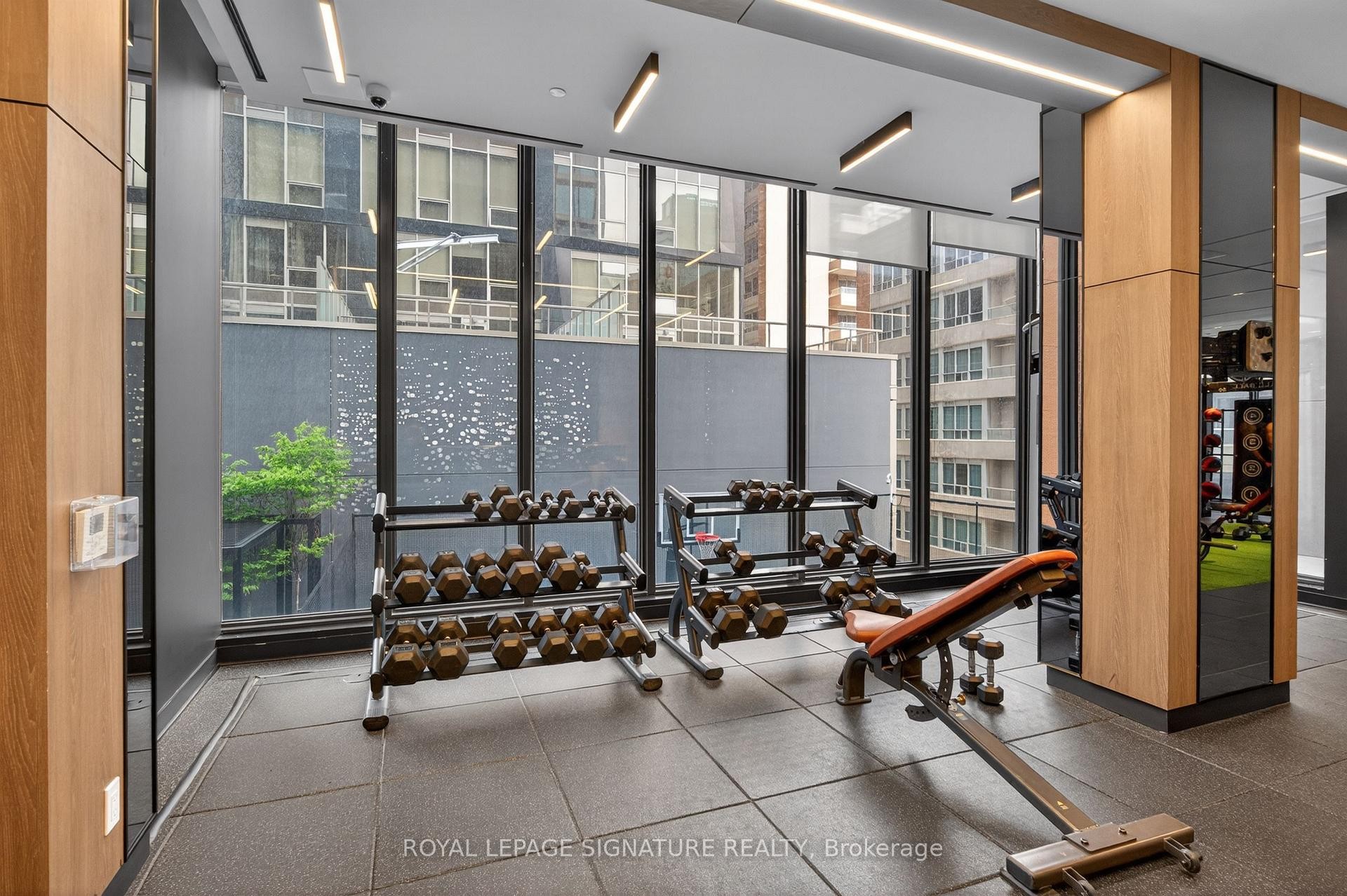









55


Mercer

Street, 3310,
Toronto,




ON
M5V 0W4

