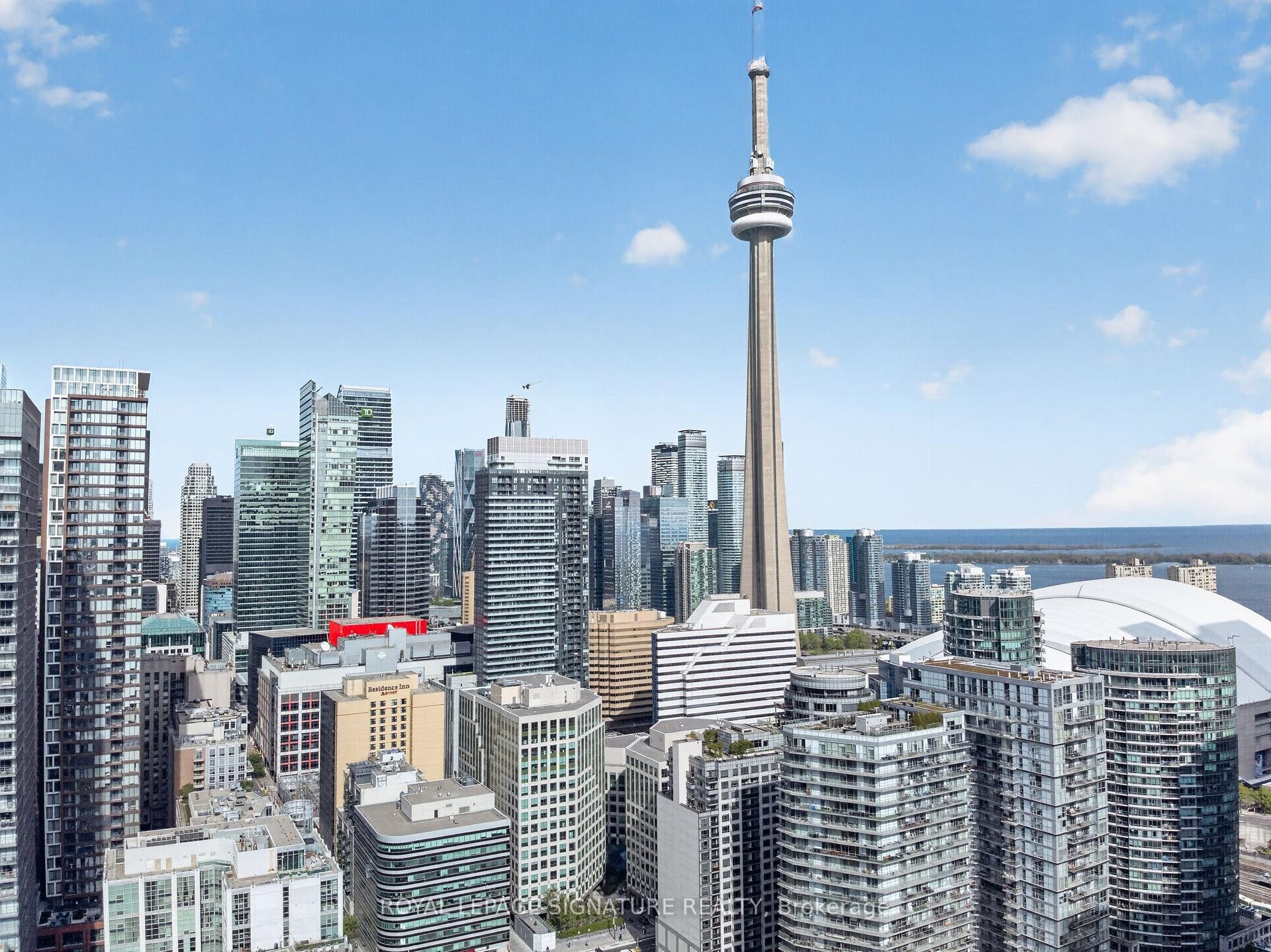 









55


Mercer

Street, 3310,
Toronto,




ON
M5V 0W4


