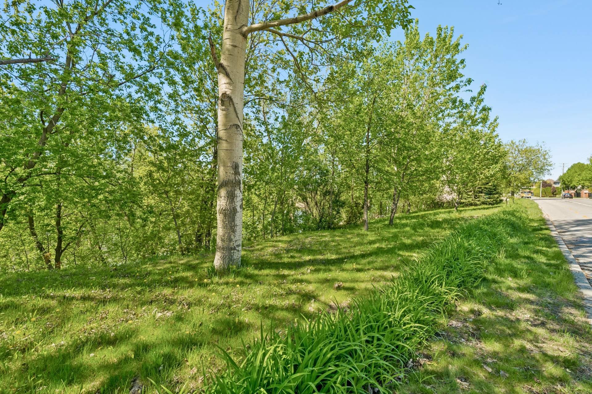 









1133


Boul. de L'Assomption

,
Repentigny (Repentigny),




QC
J6A0B6


