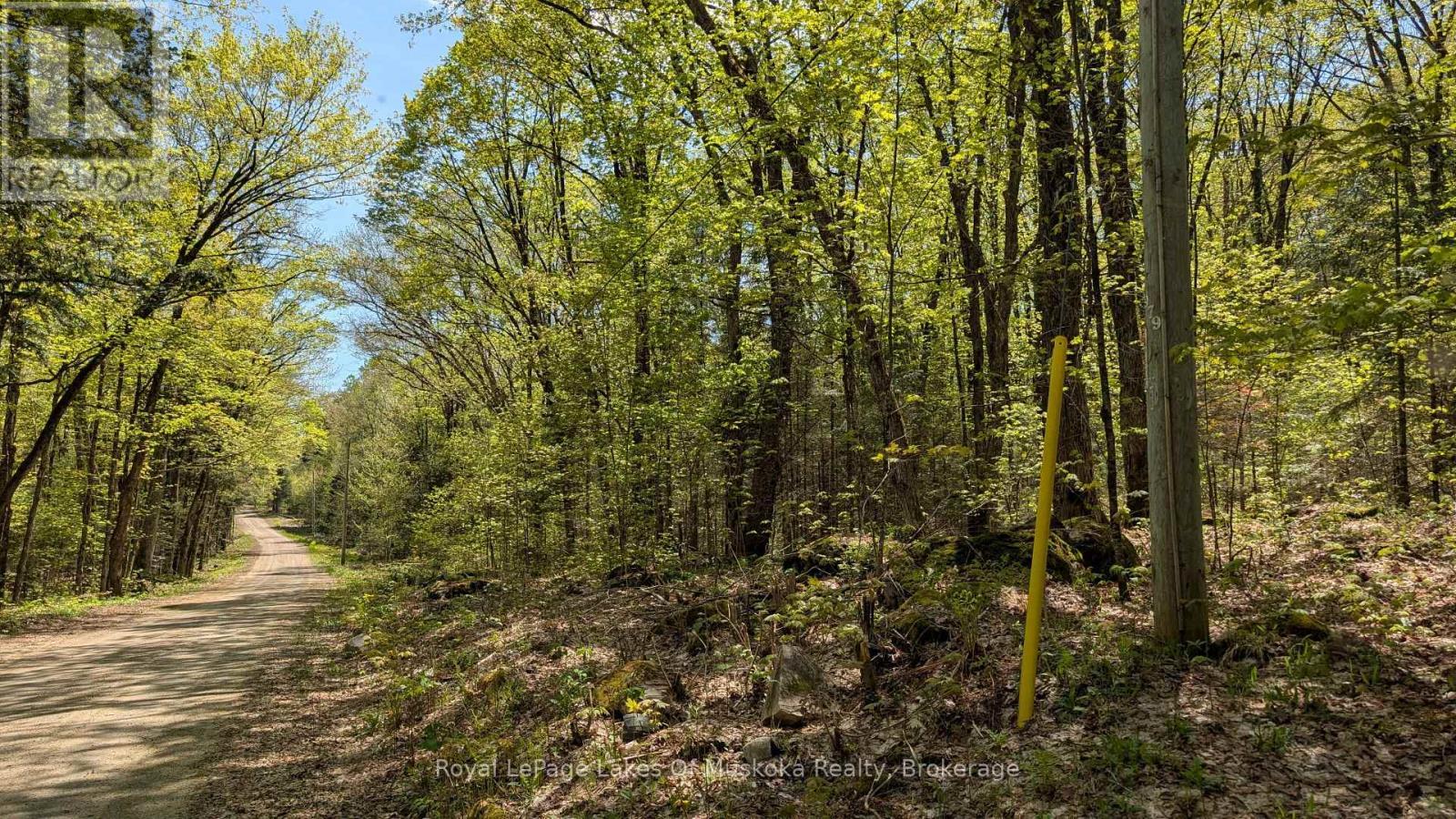 












386 LOCKE'S ROAD

,
Perry (Novar),




Ontario
P0A1R0

