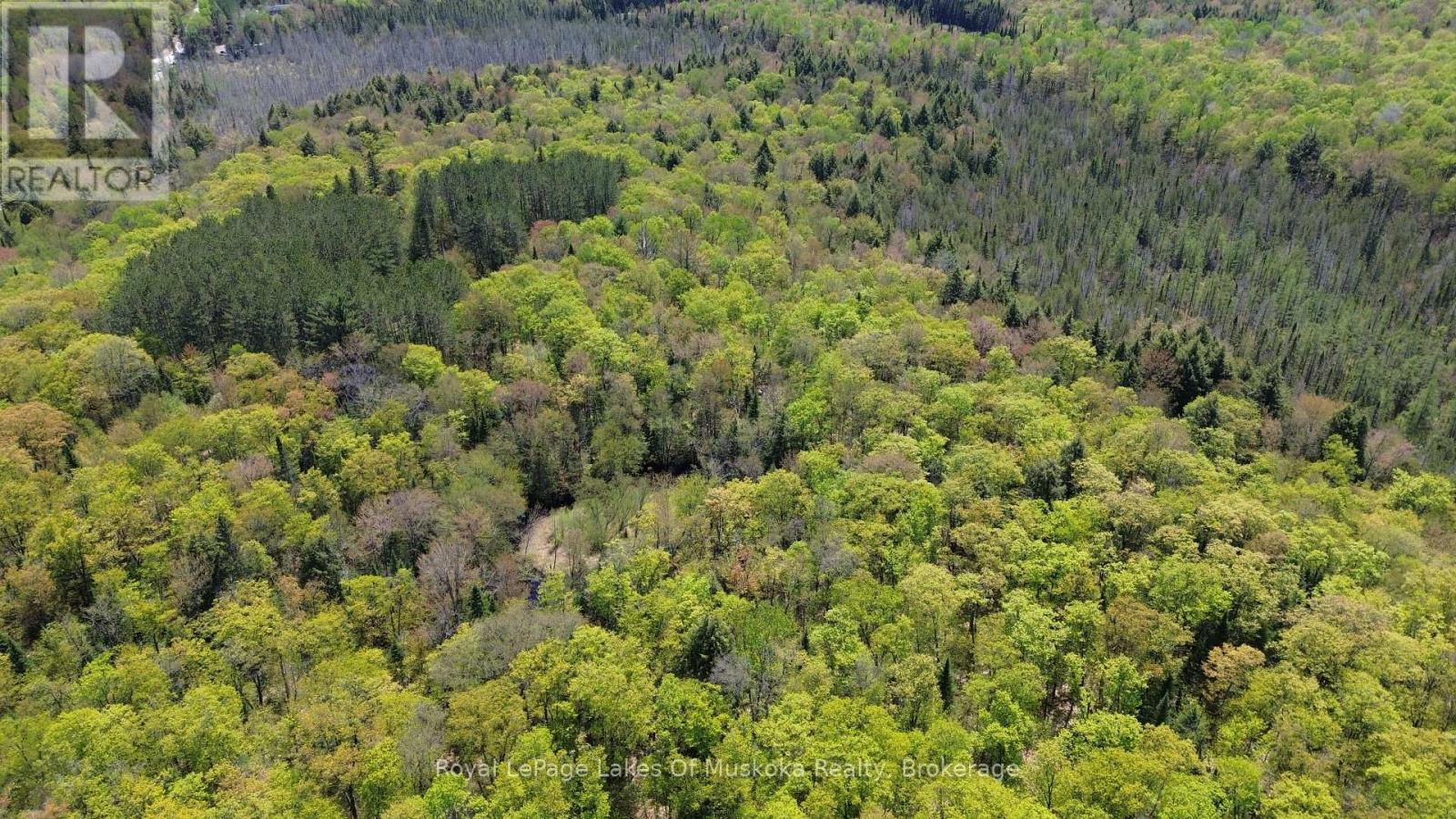 












386 LOCKE'S ROAD

,
Perry (Novar),




Ontario
P0A1R0

