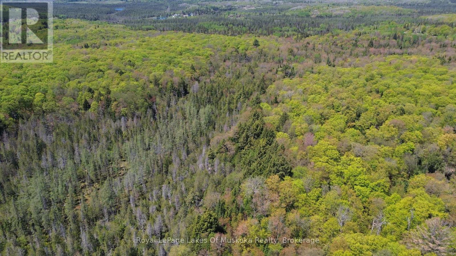 












386 LOCKE'S ROAD

,
Perry (Novar),




Ontario
P0A1R0

