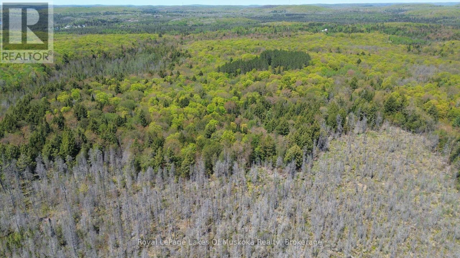 












386 LOCKE'S ROAD

,
Perry (Novar),




Ontario
P0A1R0

