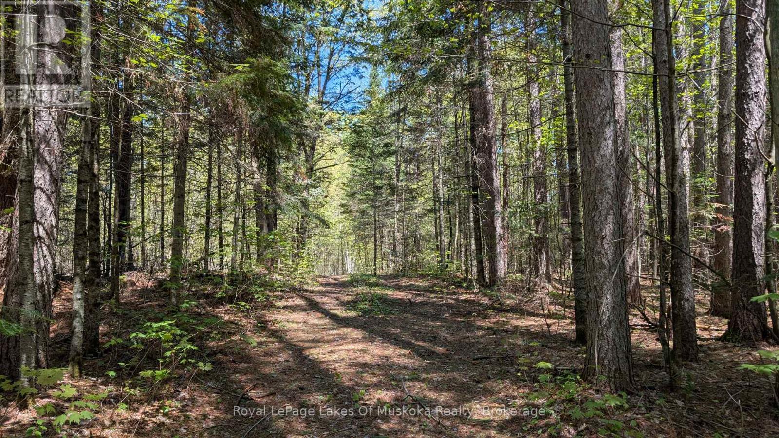 












386 LOCKE'S ROAD

,
Perry (Novar),




Ontario
P0A1R0


