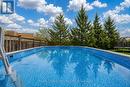 Above Ground Pool