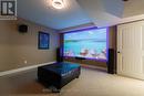 Big Screen Experience