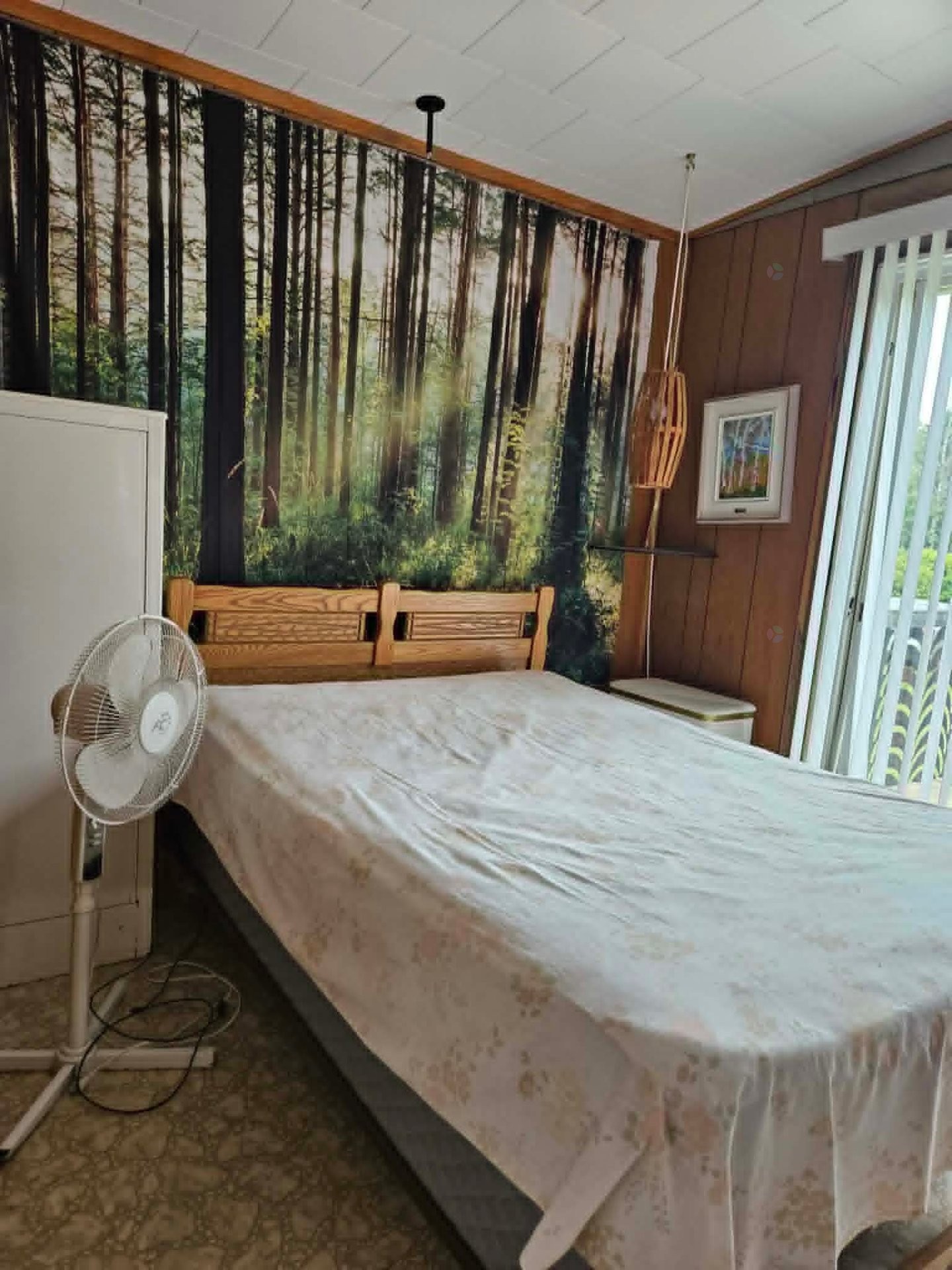 









245


Rue du Lac-d'Argent

,
Saint-Ferréol-les-Neiges,




QC
G0A3R0

