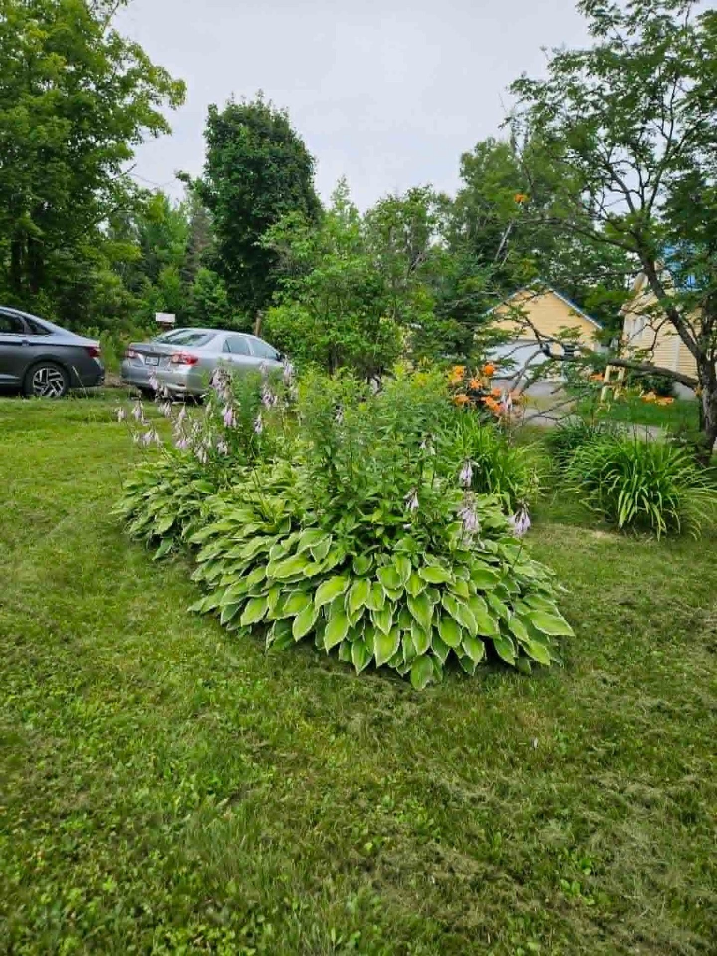 









245


Rue du Lac-d'Argent

,
Saint-Ferréol-les-Neiges,




QC
G0A3R0

