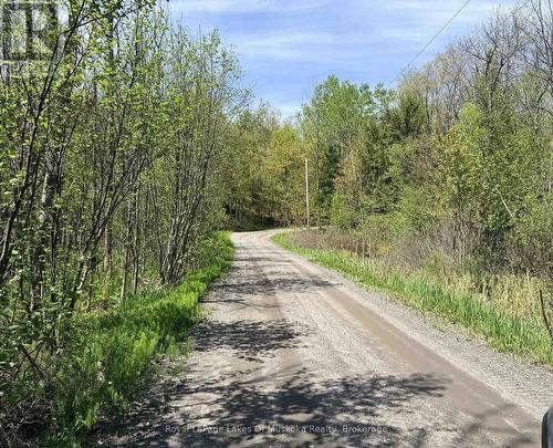 Road to the north