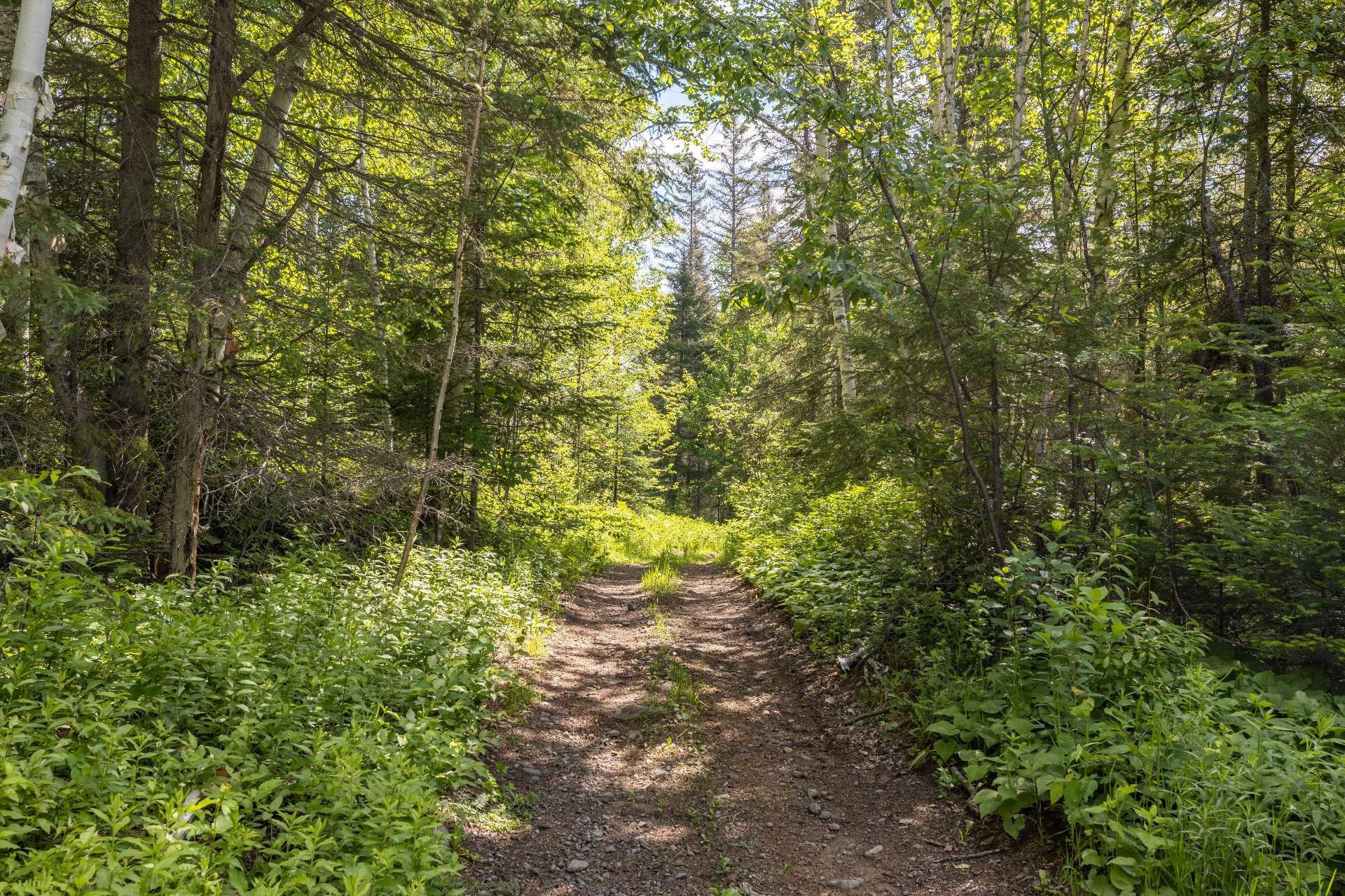 












Ch. du Lac-de-la-Dame

,
Saint-Michel-des-Saints,







QC
J0K3B0

