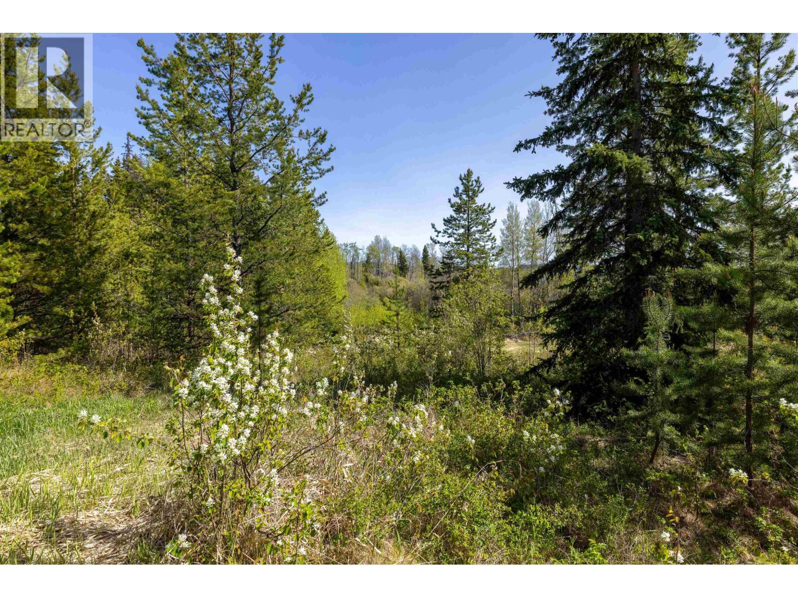 












1000 TACHIE ROAD

,
Fort St. James,




British Columbia
V0J1P0

