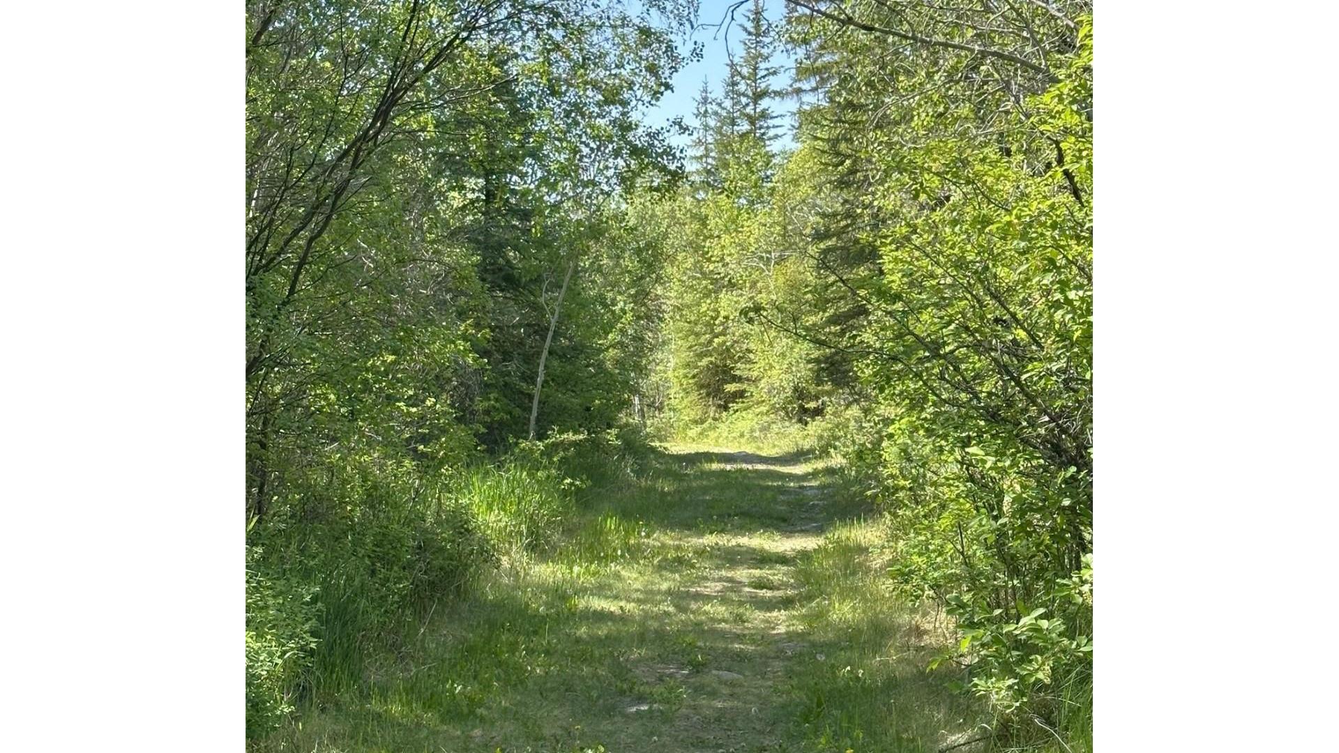 









4325


Moan

Road,
Ta Ta Creek,




BC
V0B 2K0

