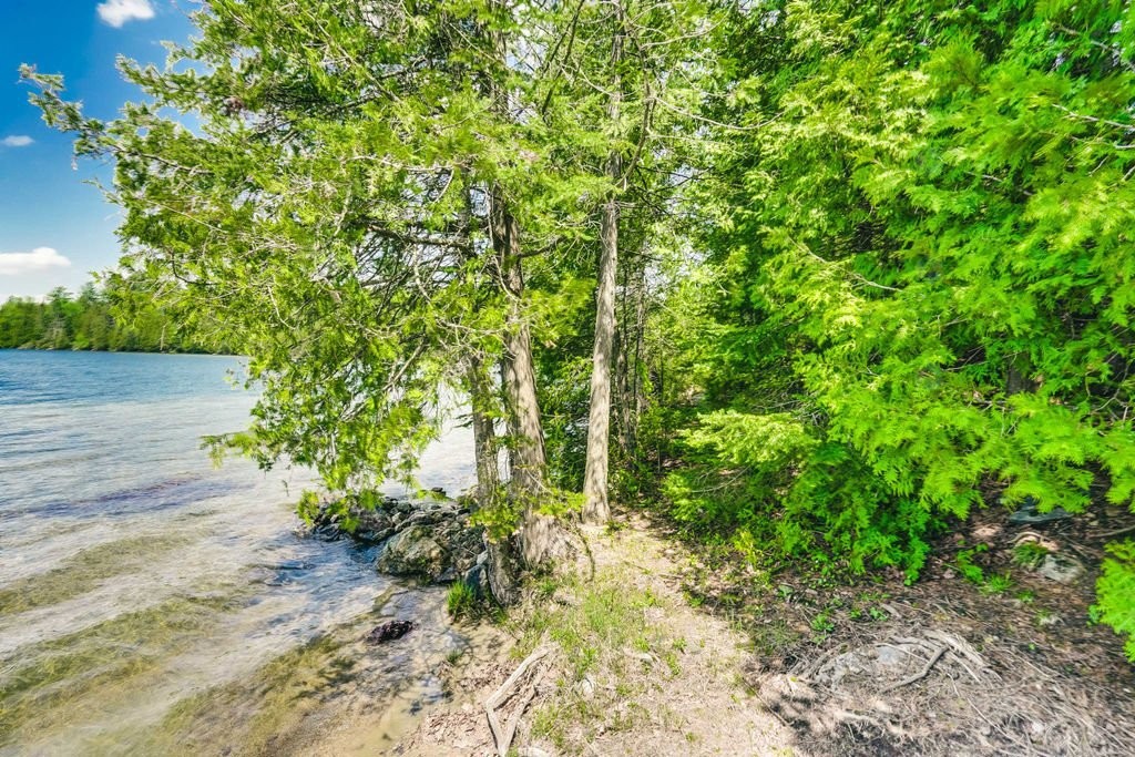 









186


Ch. de la Rive

,
Low,




QC
J0X2C0

