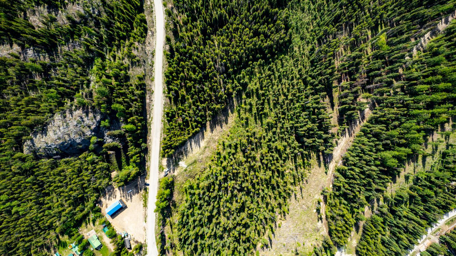 









Lot #2


Paradise

Road,
Joe Rich,







BC
V1P 1K4

