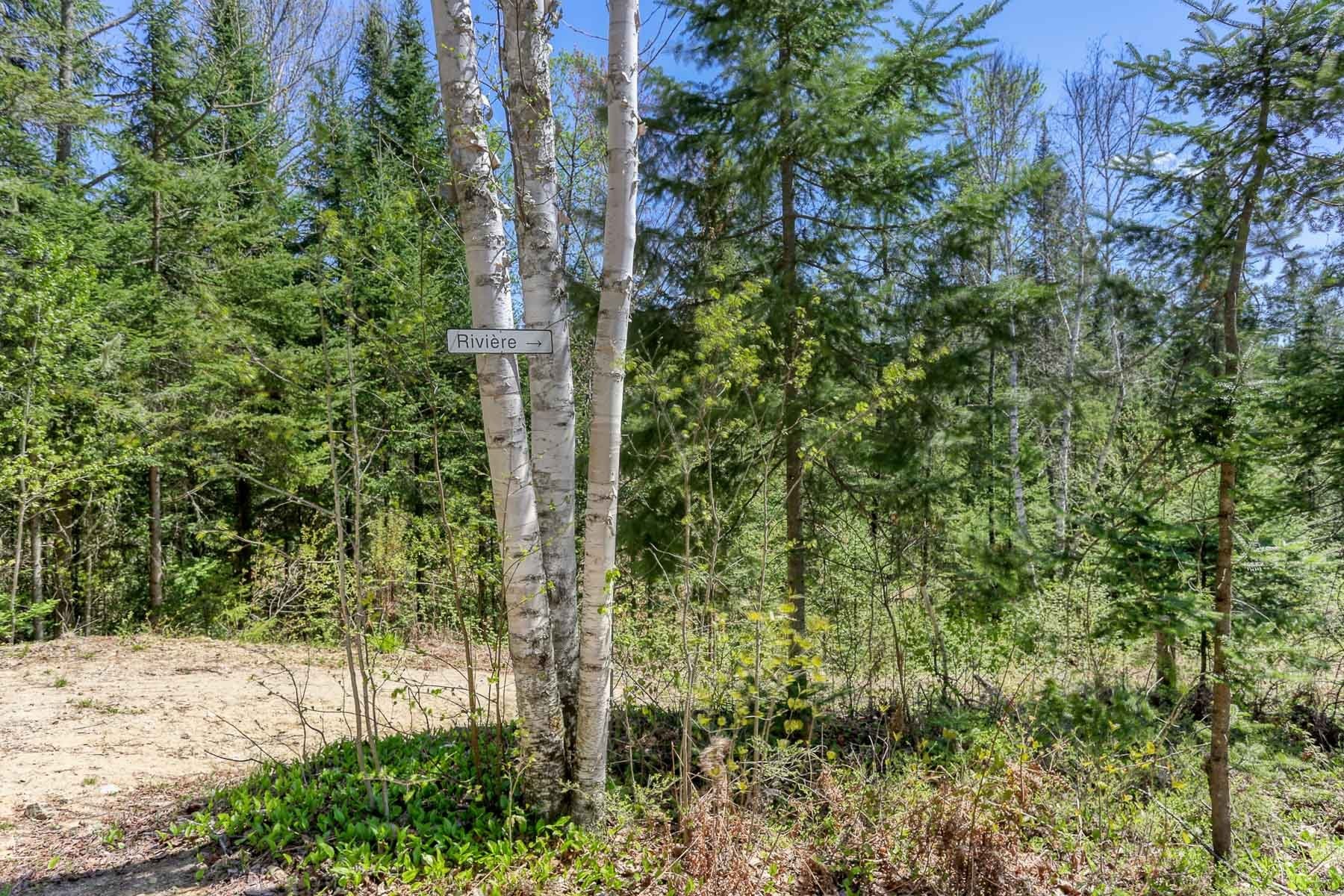 









350


Ch. de la Côte

,
Saint-Alexis-des-Monts,




QC
J0K1V0

