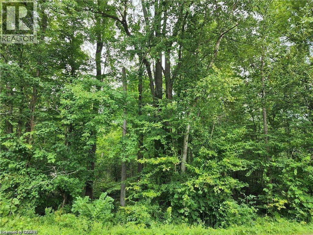 












PT LOT 20 7 CONCESSION

,
Simcoe,







Ontario
N3Y4K1

