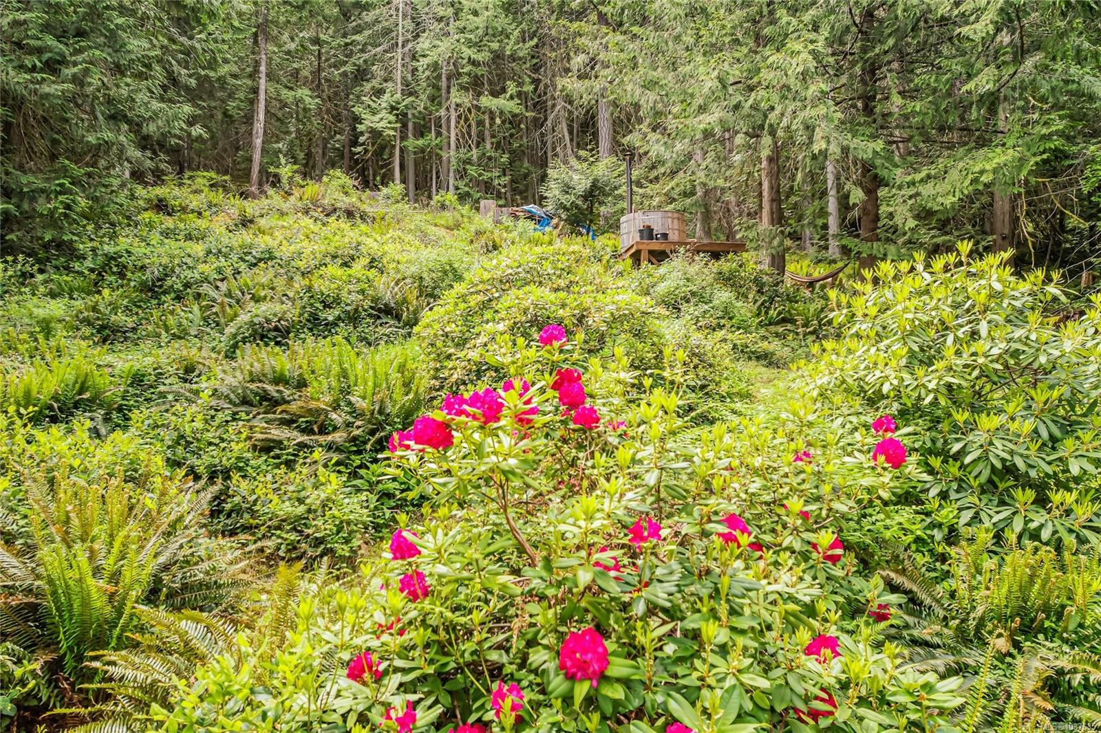 









421


Mt. Belcher

Hts,
Salt Spring,




BC
V8K 2J5

