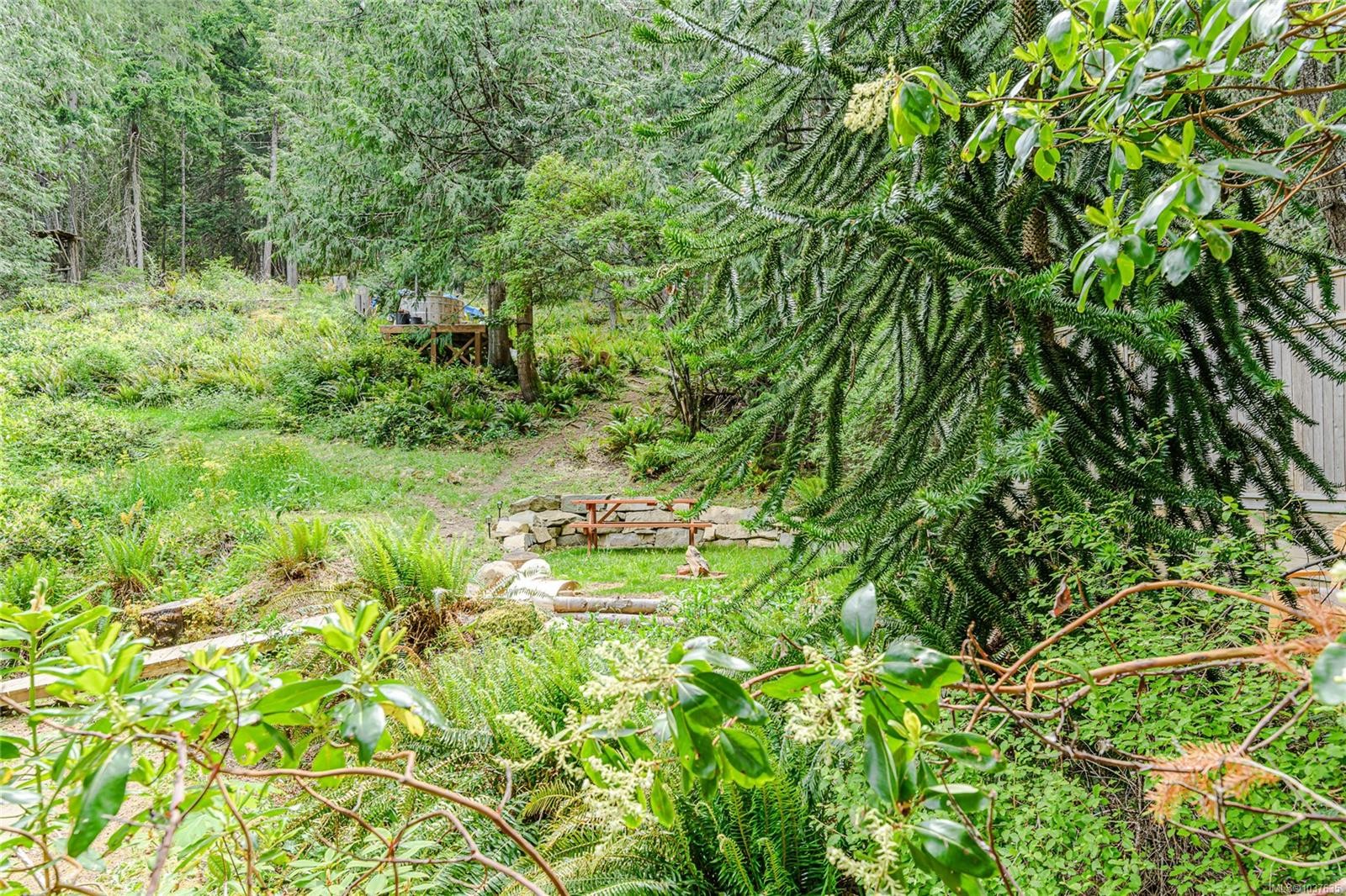 









421


Mt. Belcher

Hts,
Salt Spring,




BC
V8K 2J5

