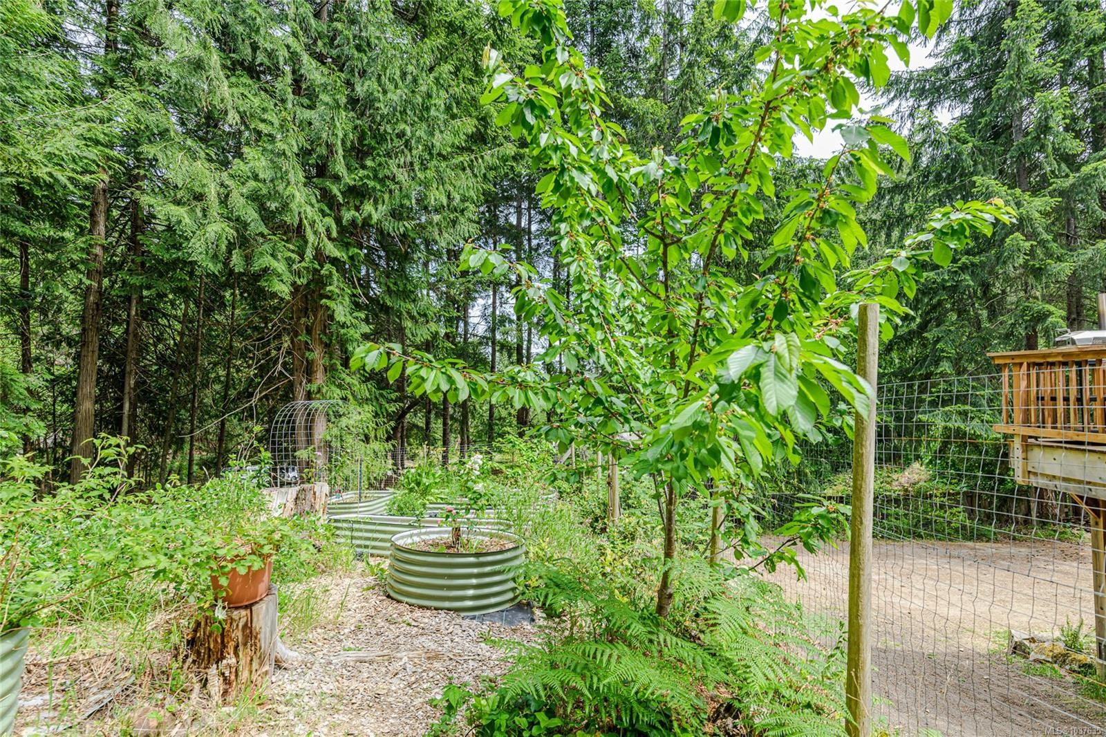 









421


Mt. Belcher

Hts,
Salt Spring,




BC
V8K 2J5

