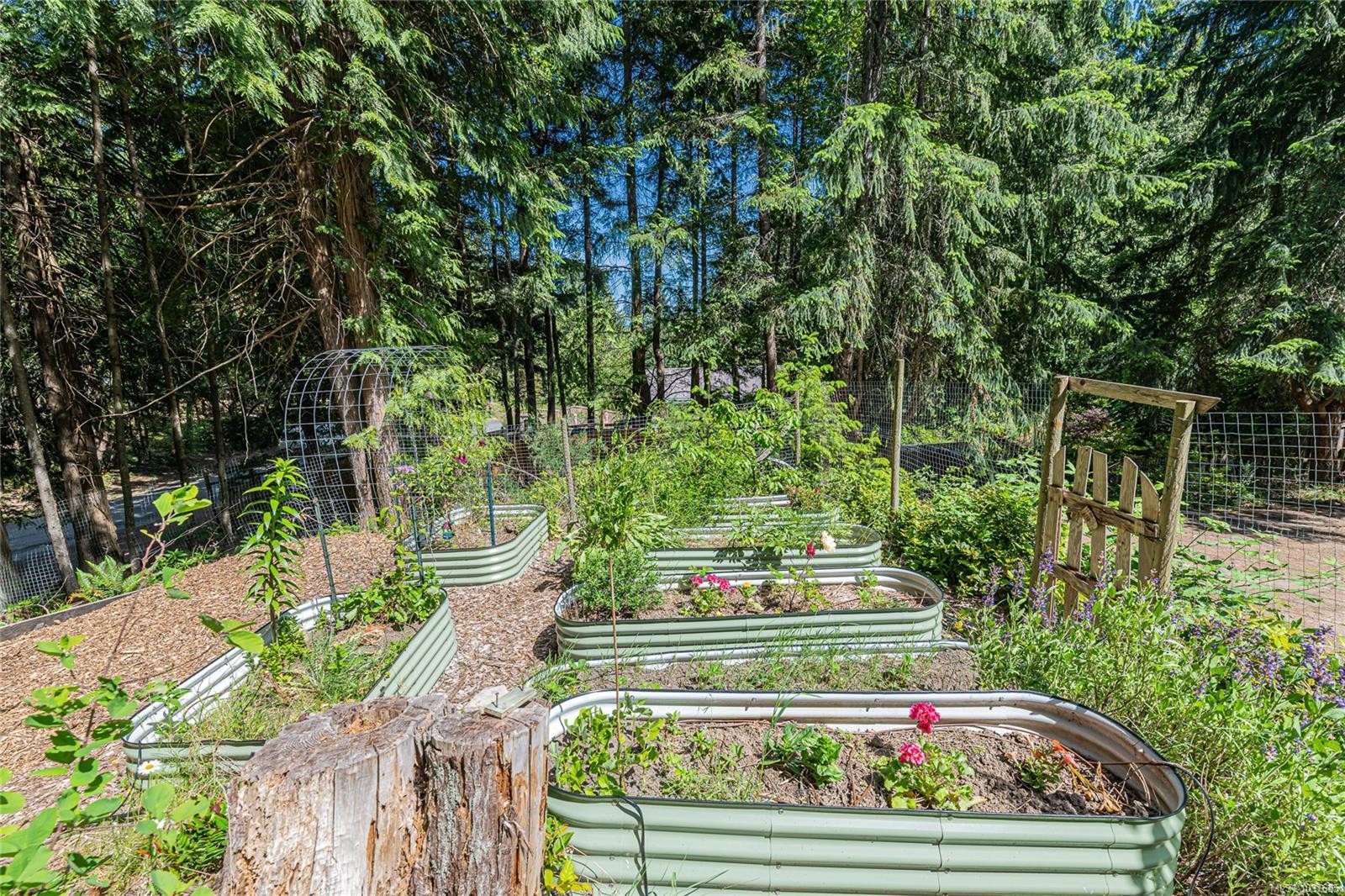 









421


Mt. Belcher

Hts,
Salt Spring,




BC
V8K 2J5

