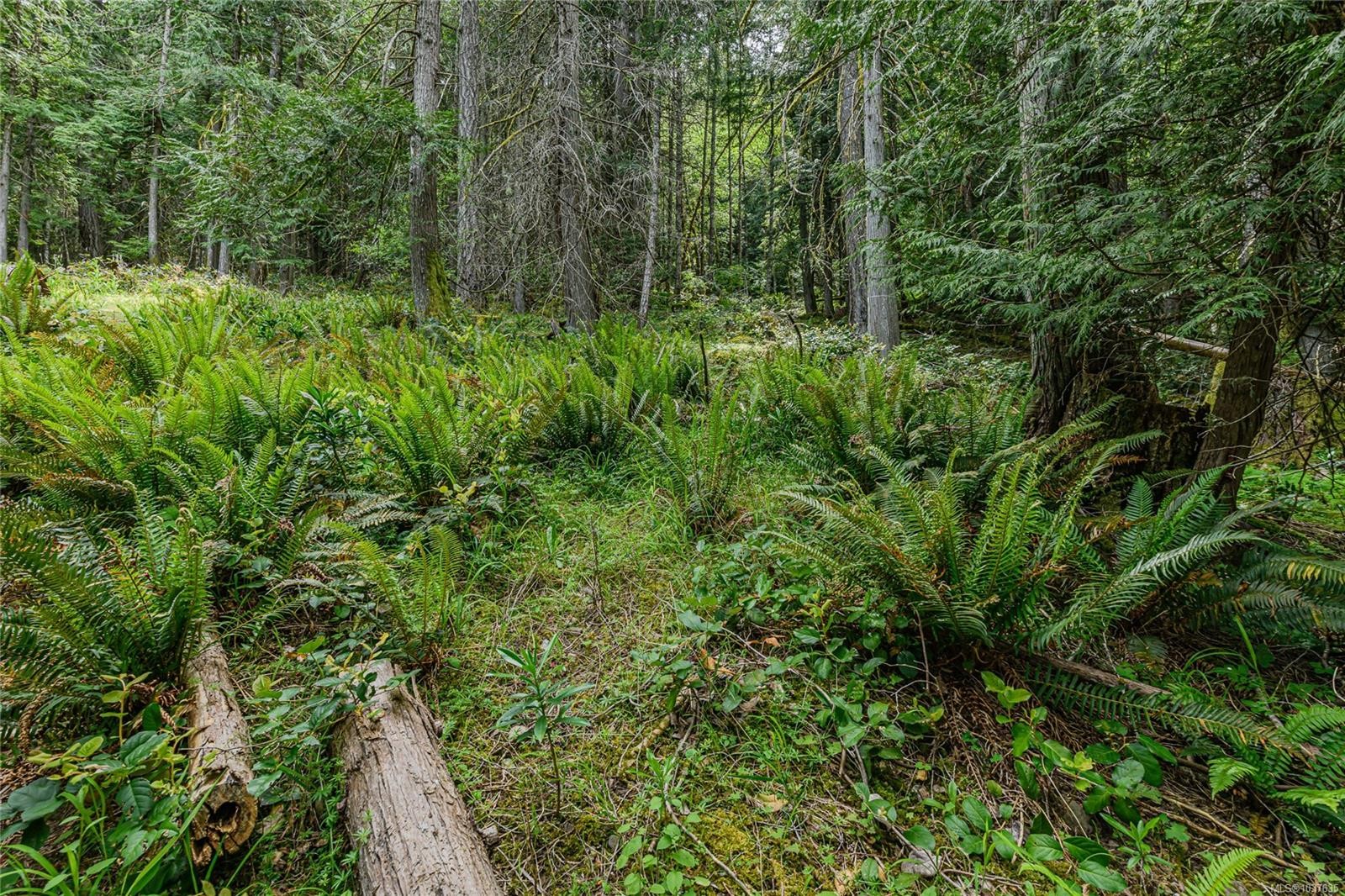 









421


Mt. Belcher

Hts,
Salt Spring,




BC
V8K 2J5


