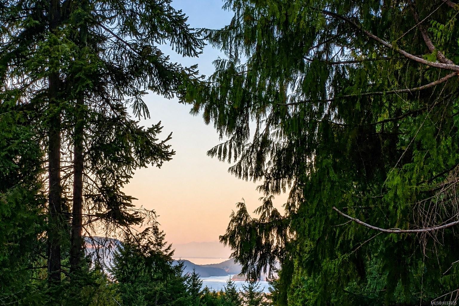 









421


Mt. Belcher

Hts,
Salt Spring,




BC
V8K 2J5

