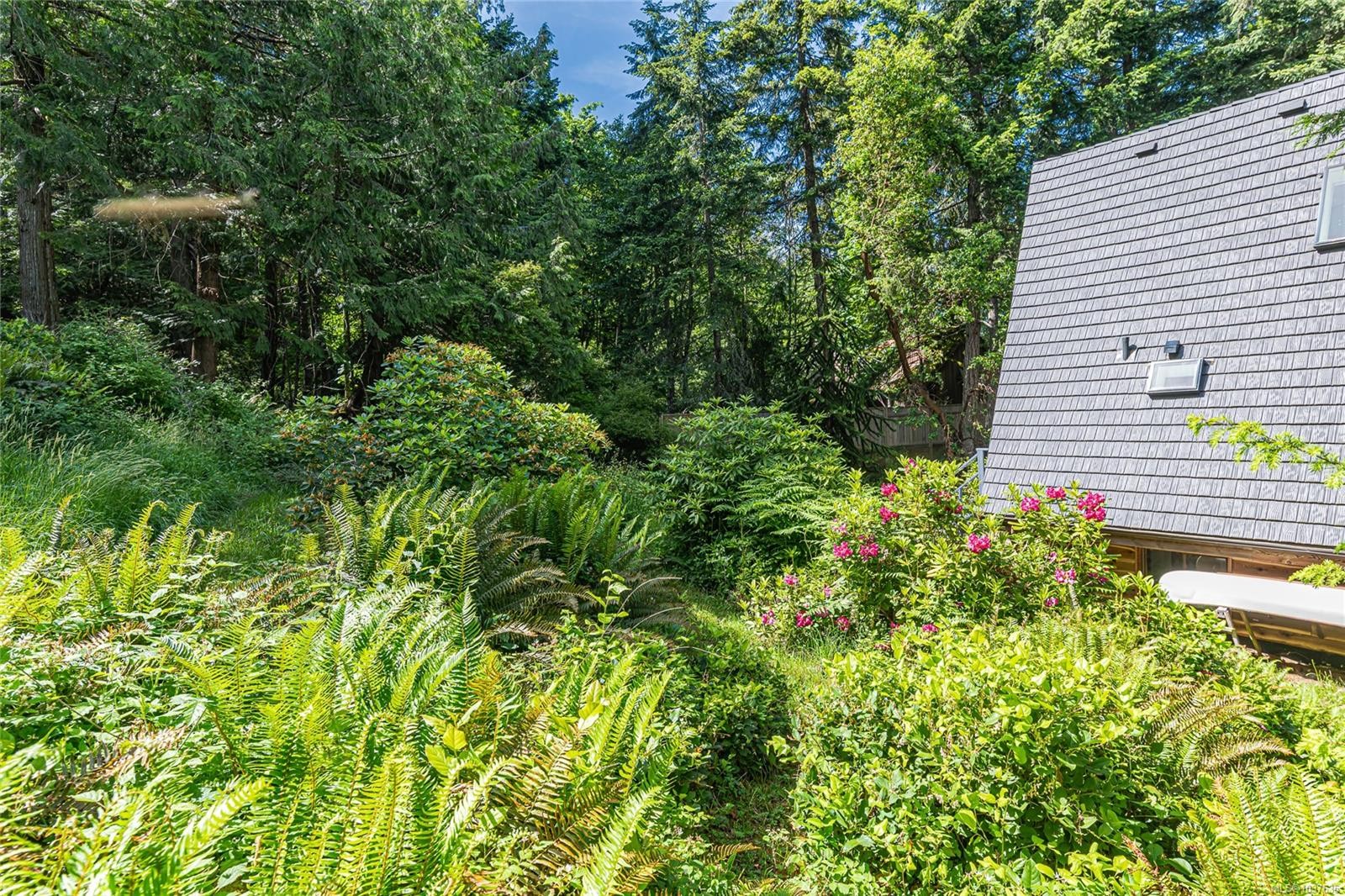 









421


Mt. Belcher

Hts,
Salt Spring,




BC
V8K 2J5

