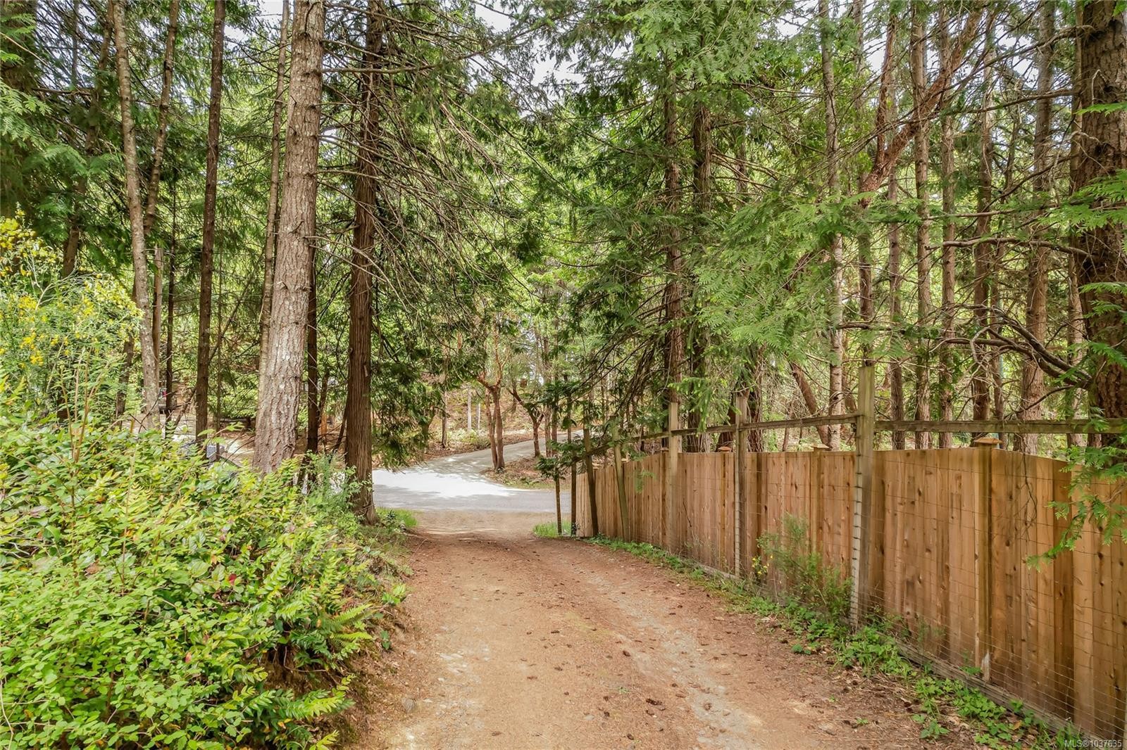 









421


Mt. Belcher

Hts,
Salt Spring,




BC
V8K 2J5

