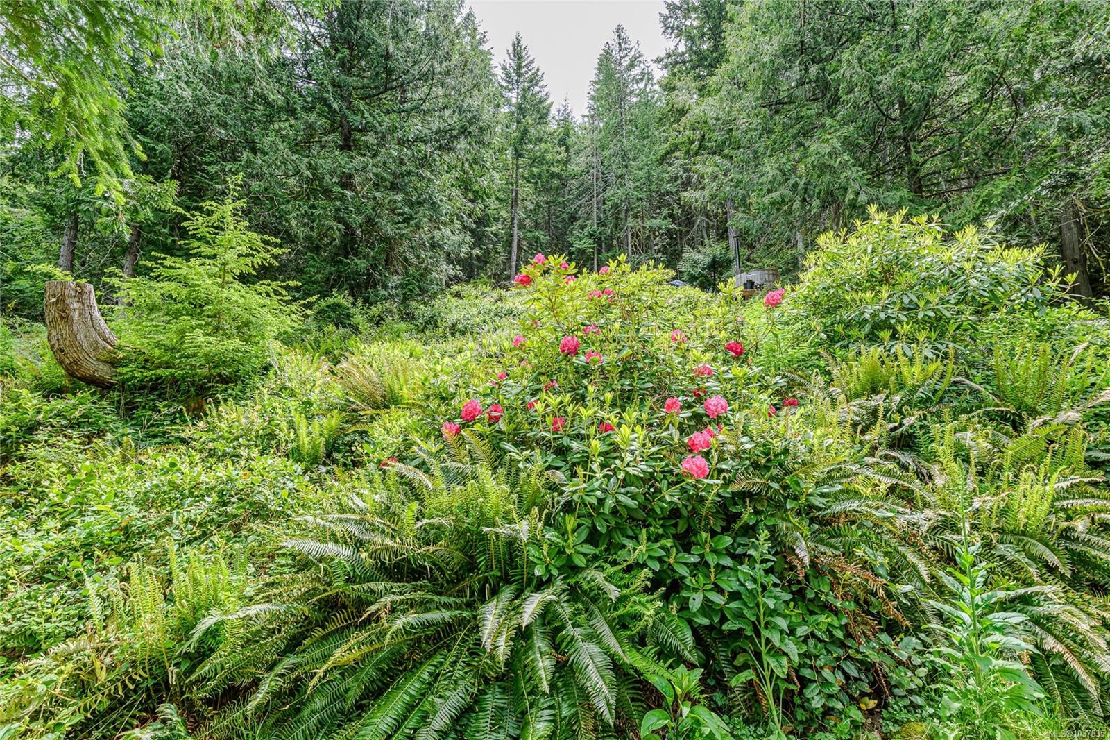 









421


Mt. Belcher

Hts,
Salt Spring,




BC
V8K 2J5

