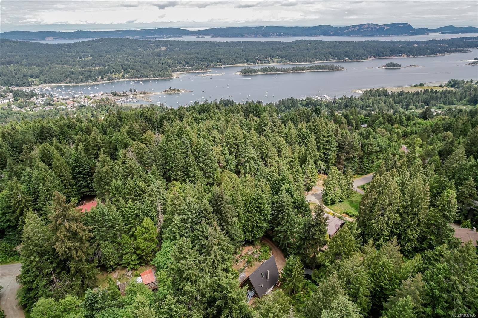 









421


Mt. Belcher

Hts,
Salt Spring,




BC
V8K 2J5


