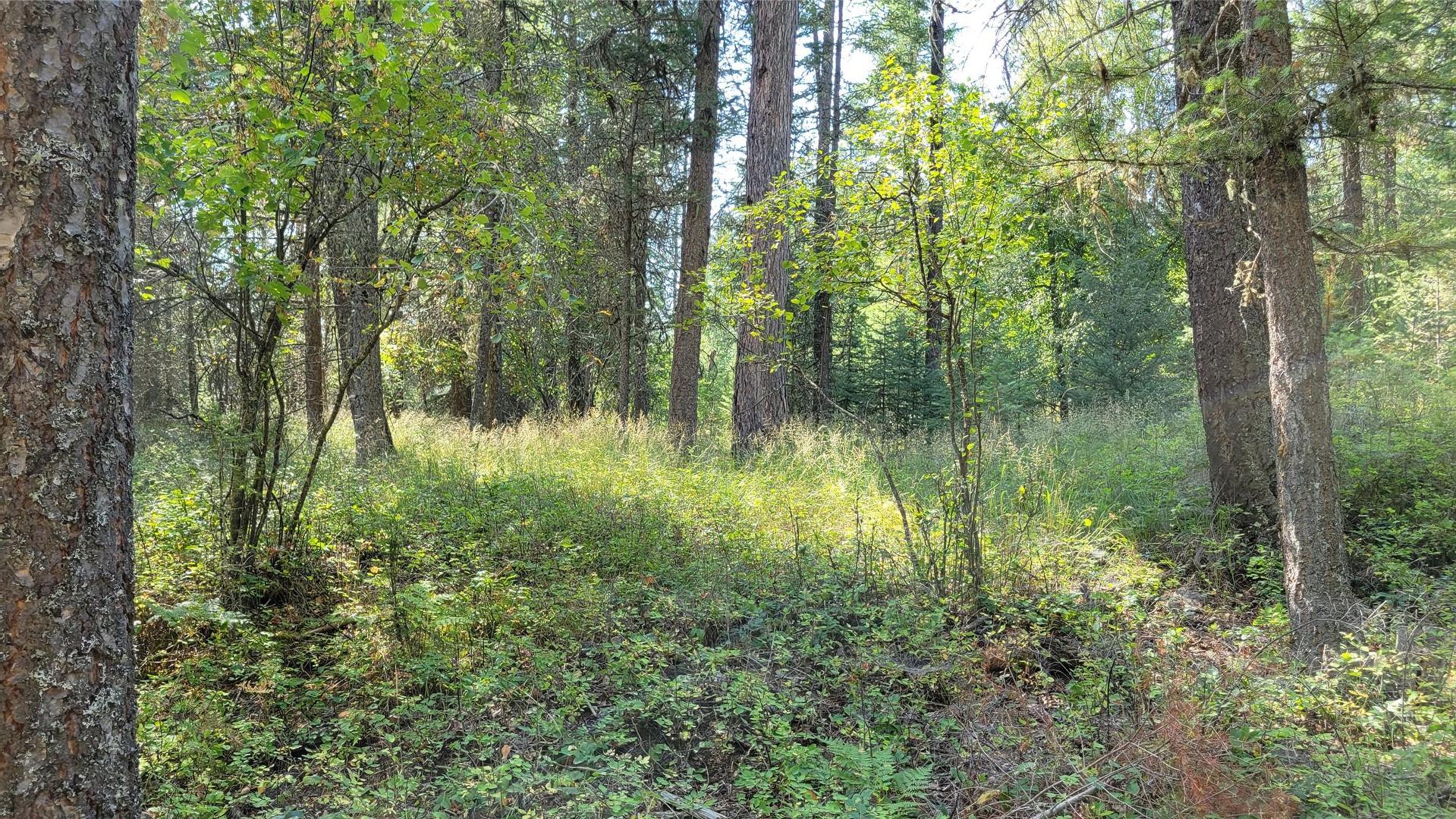 









2870


Rosen Heights

Road, 7 & 8,
Jaffray,




BC
V0B 1T0

