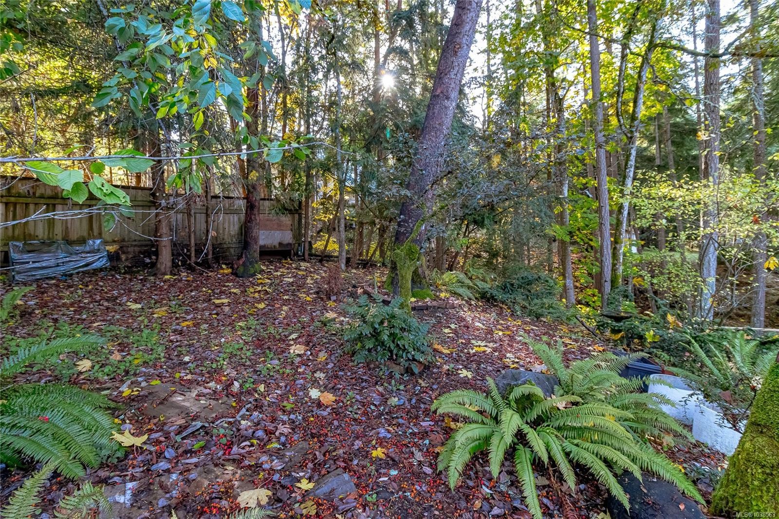 









1364


Kingsview

Rd,
Duncan,




BC
V9L 5P1

