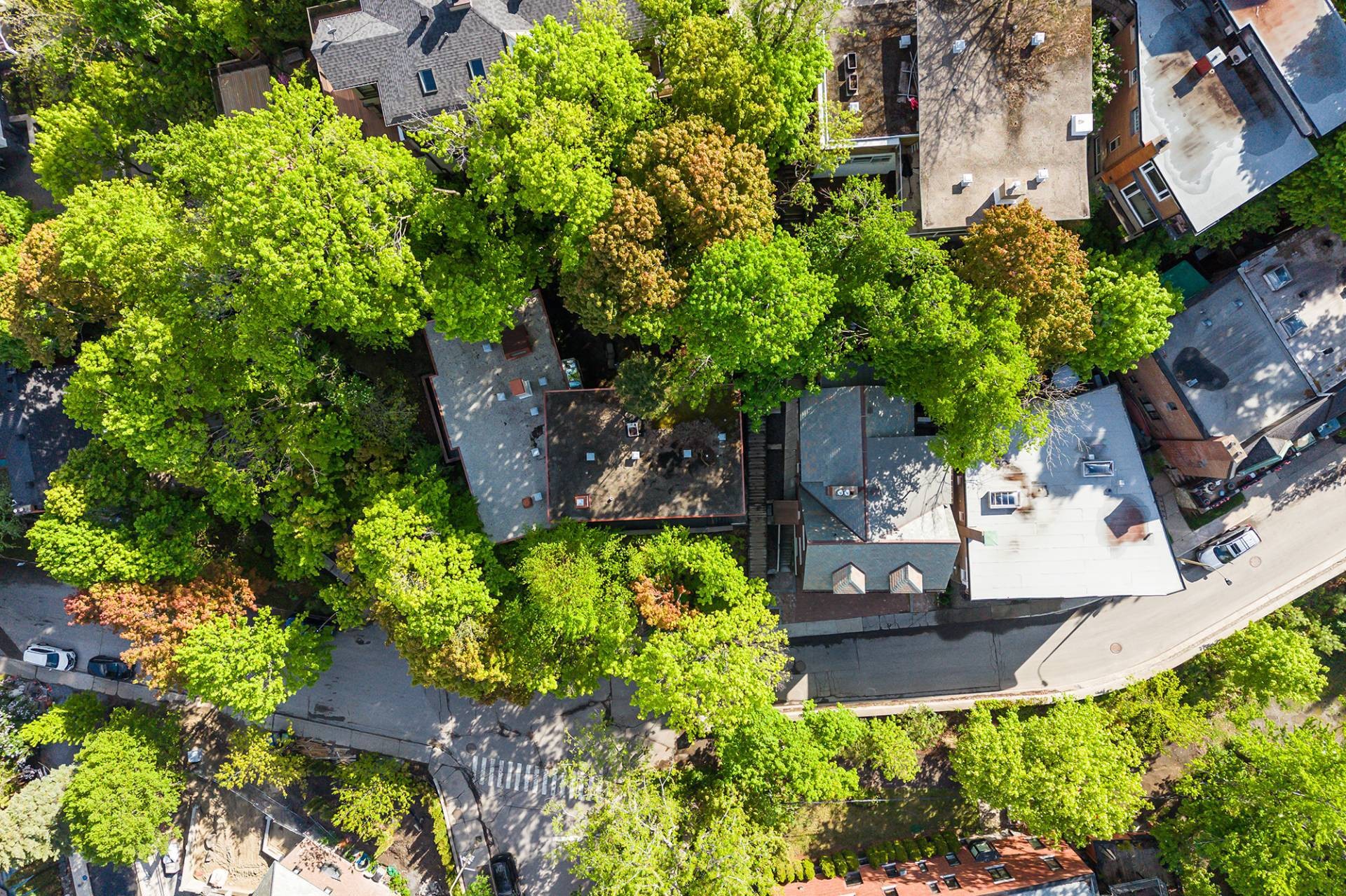 









4040


Av. de Trafalgar

,
Montréal (Ville-Marie),




QC
H3Y1R2


