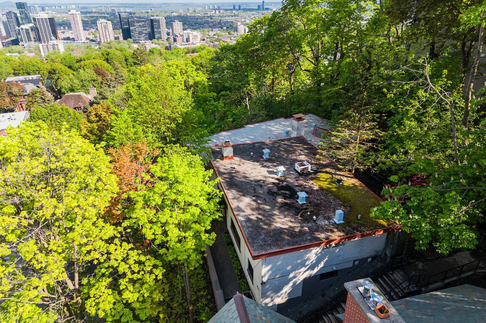 









4040


Av. de Trafalgar

,
Montréal (Ville-Marie),




QC
H3Y1R2

