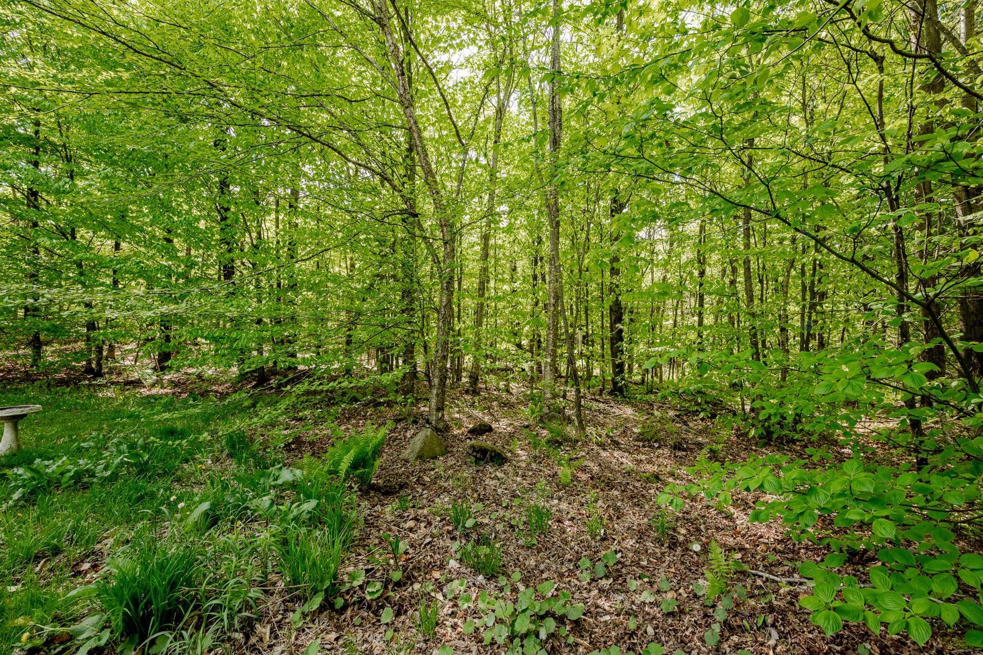 









355


Rue des Trembles

,
Saint-Georges-de-Windsor,




QC
J0A1J0

