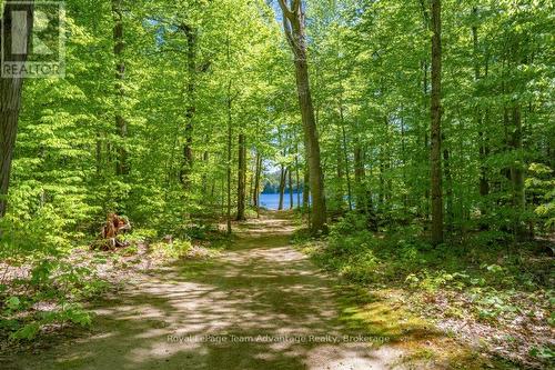 Walkway to Private Beach and Dock