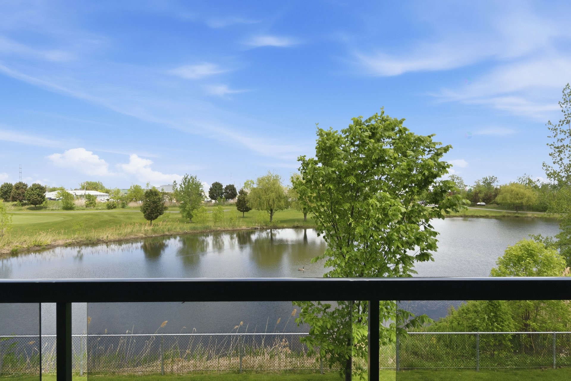 









3440


Rue Edmond-Hardy

, 202,
Longueuil (Le Vieux-Longueuil),




QC
J4N0K1

