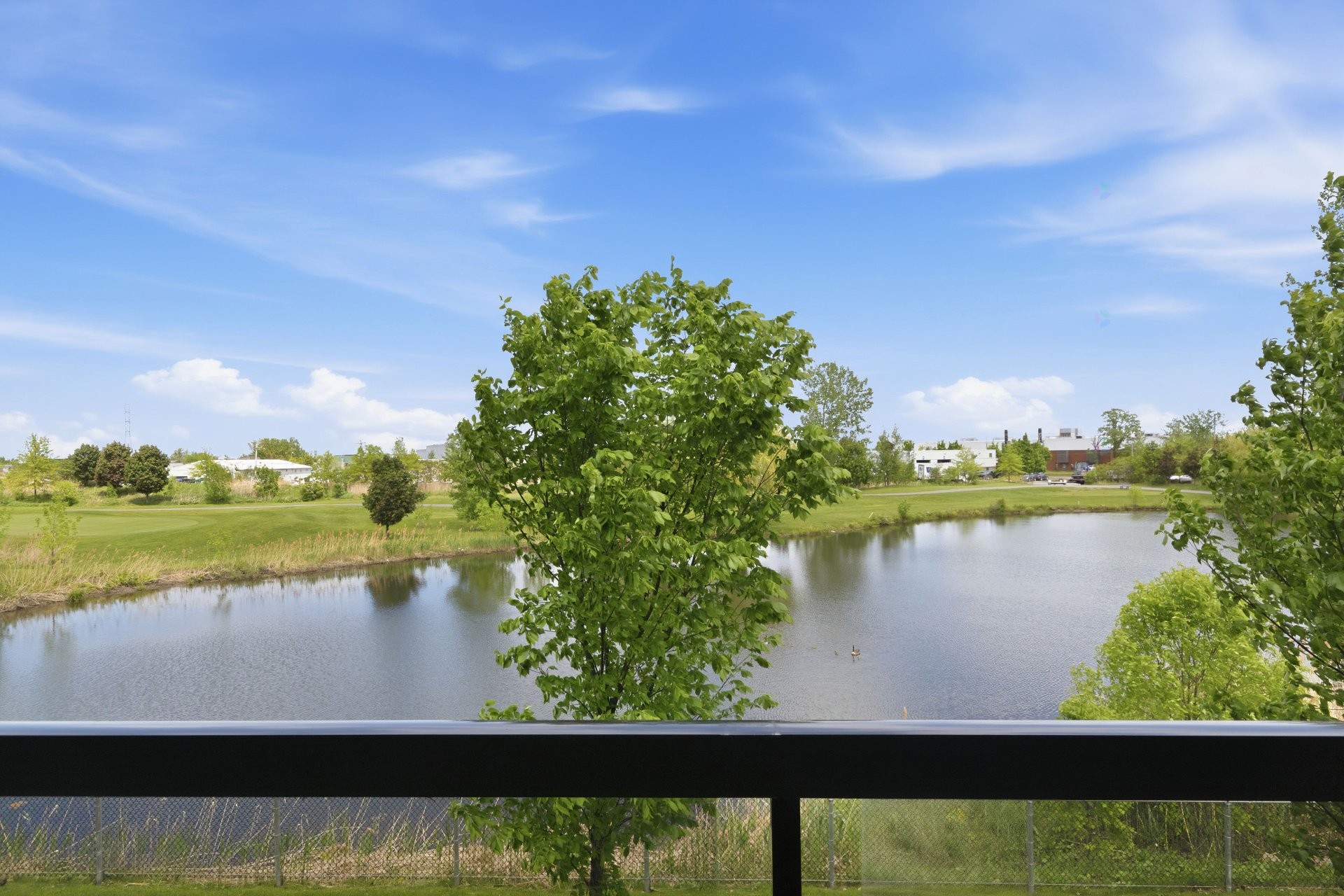 









3440


Rue Edmond-Hardy

, 202,
Longueuil (Le Vieux-Longueuil),




QC
J4N0K1

