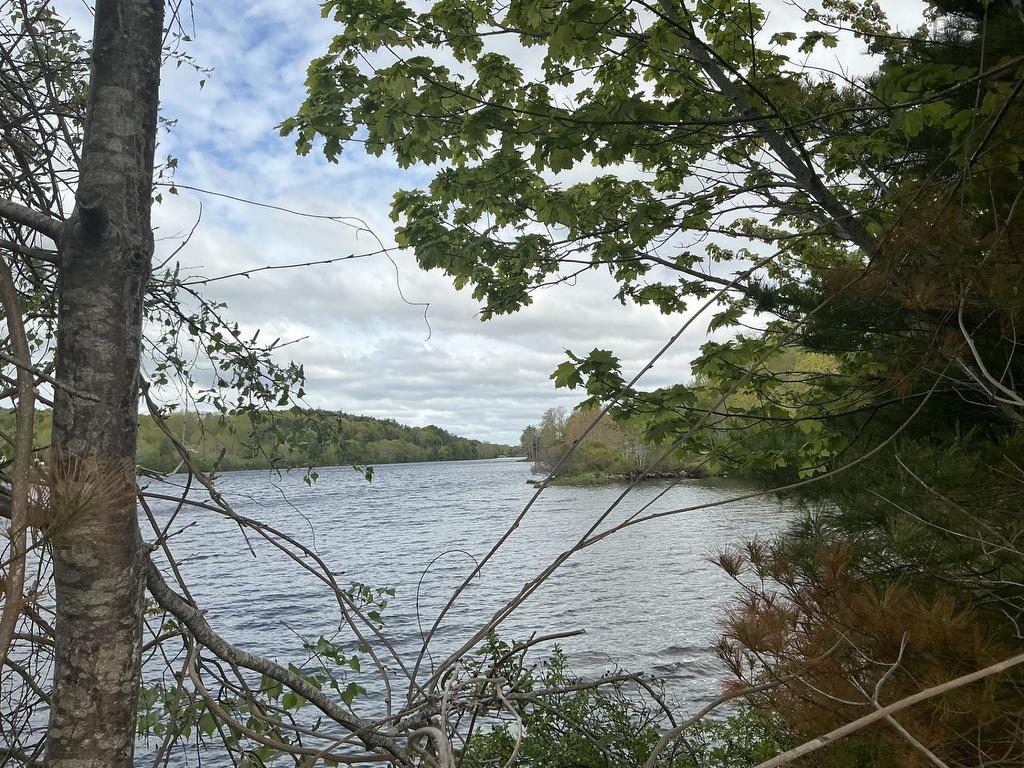 












102 Highway 8

,
Milton,




NS
B0J 1H0

