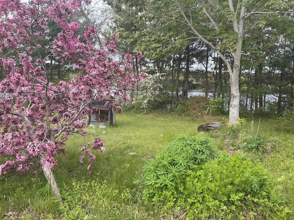 












102 Highway 8

,
Milton,




NS
B0J 1H0

