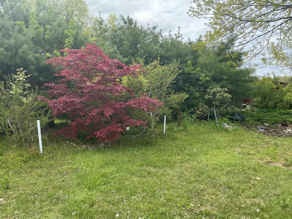 












102 Highway 8

,
Milton,




NS
B0J 1H0

