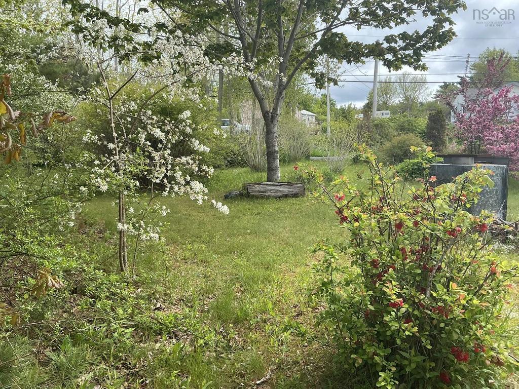 












102 Highway 8

,
Milton,




NS
B0J 1H0

