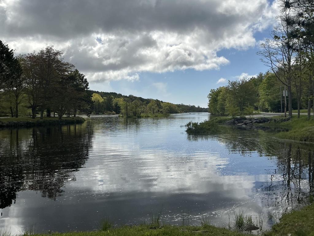 












102 Highway 8

,
Milton,




NS
B0J 1H0

