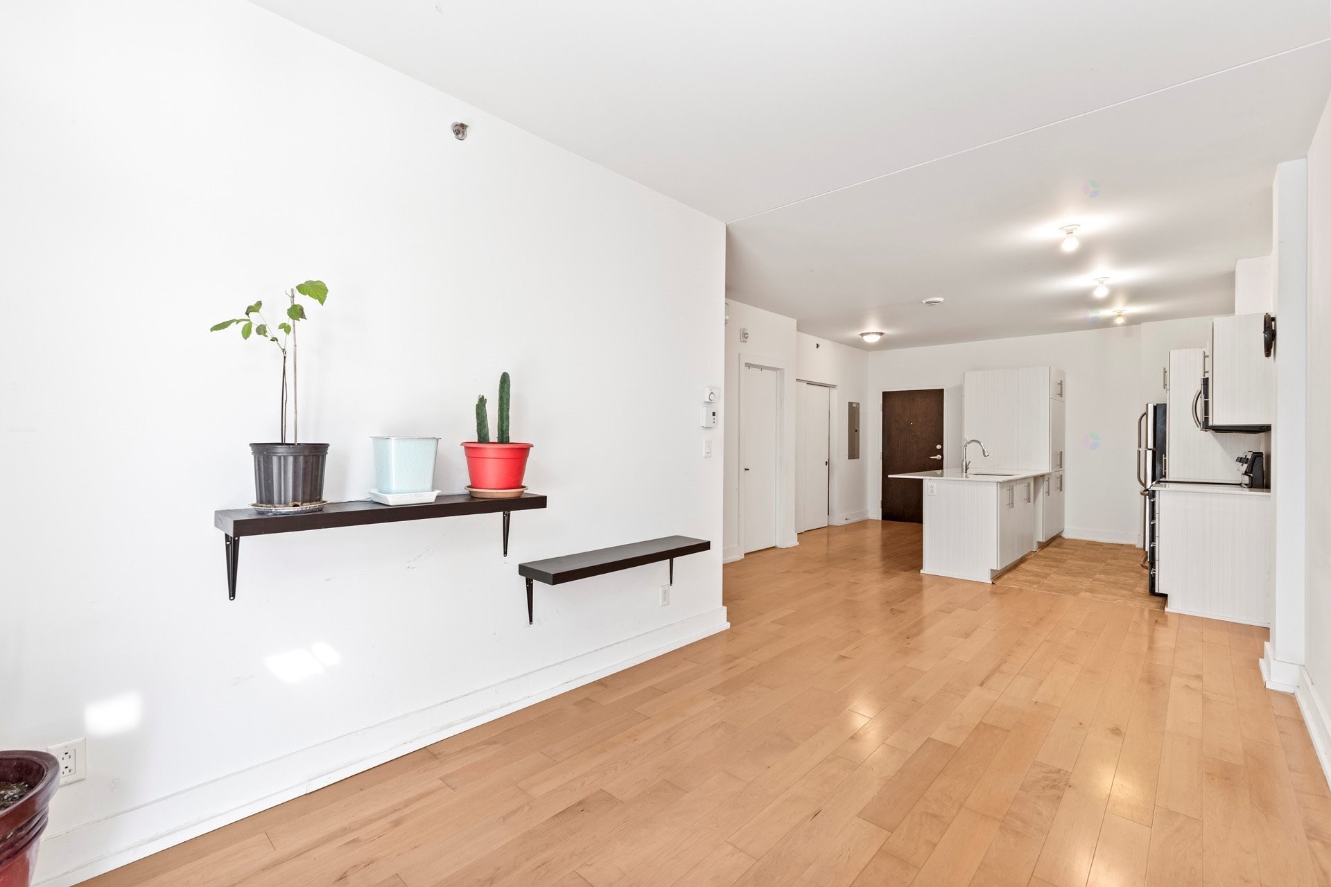 









440


19e Avenue

, 109,
Montréal (Lachine),




QC
H8S3S2

