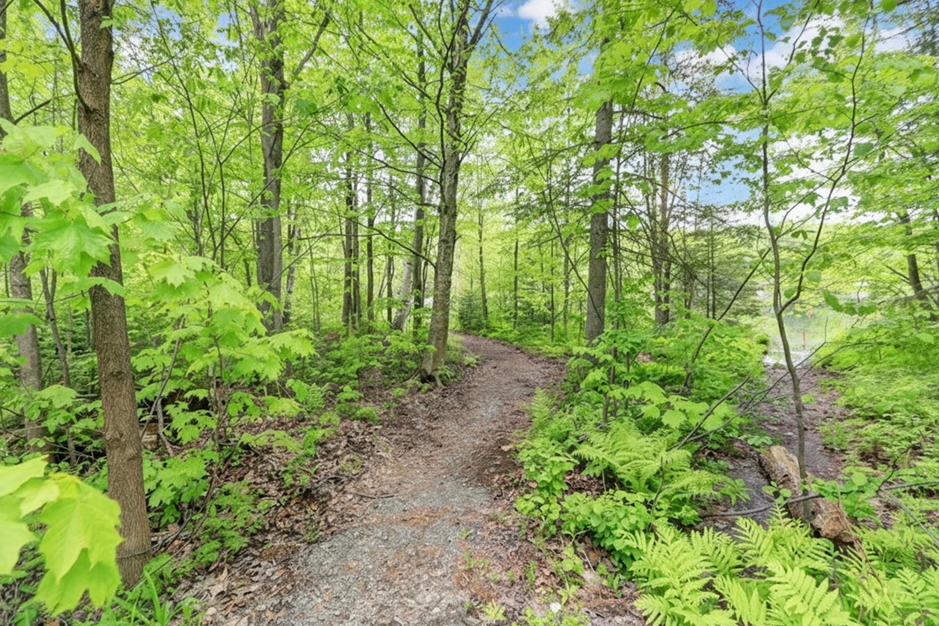 












Ch. du Lac-Renaud

,
Prévost,







QC
J0R1T0

