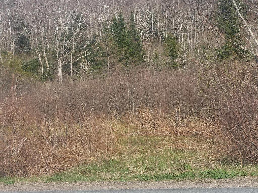 












178 Trout Brook Road

,
Colchester,







NS
B0K 1V0

